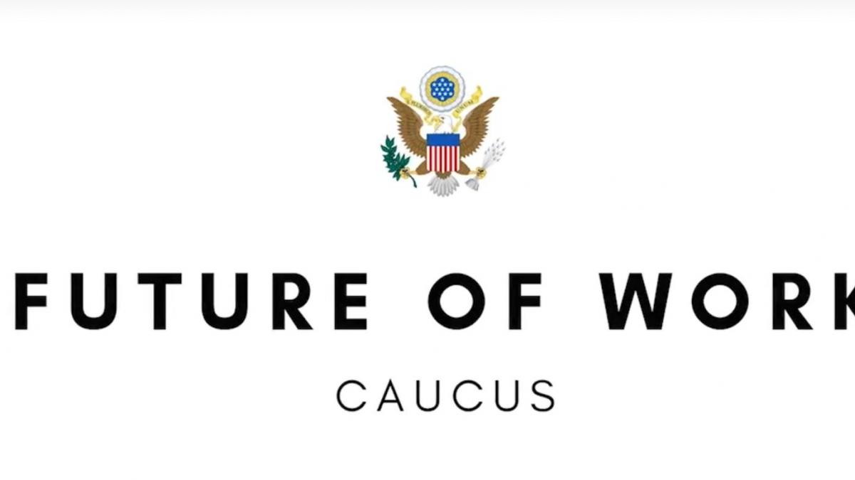 Steil, Blunt Rochester Announce Future of Work Caucus