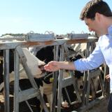 Representative Steil visits dairy farm