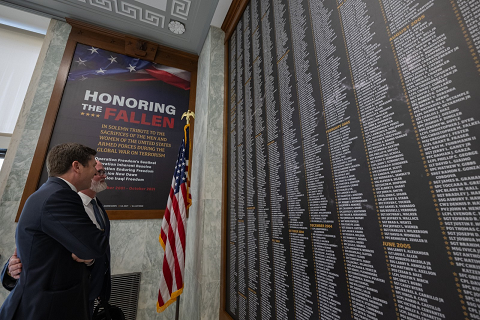 Wall of Fallen (Looking)