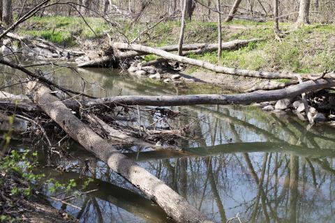 Kenosha Restoration Project